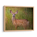 Reloj De Ciervos Iv - Ozana Sturgeon | Cuadro decorativo de Canvas Lab