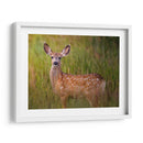 Reloj De Ciervos Iv - Ozana Sturgeon | Cuadro decorativo de Canvas Lab