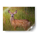 Reloj De Ciervos Iv - Ozana Sturgeon | Cuadro decorativo de Canvas Lab