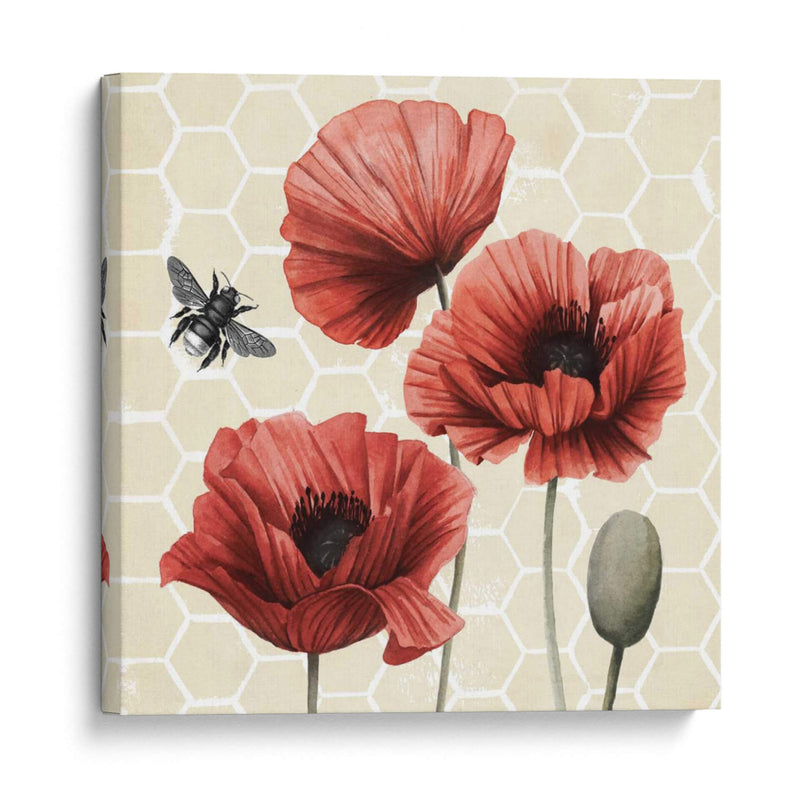 Poppy Buzz I - Grace Popp | Cuadro decorativo de Canvas Lab