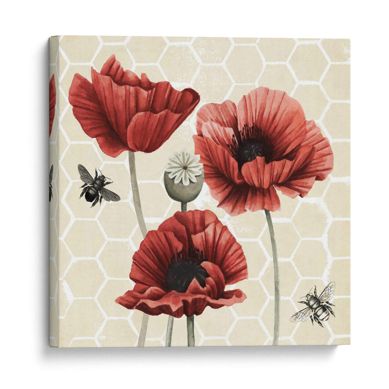 Poppy Buzz Ii - Grace Popp | Cuadro decorativo de Canvas Lab