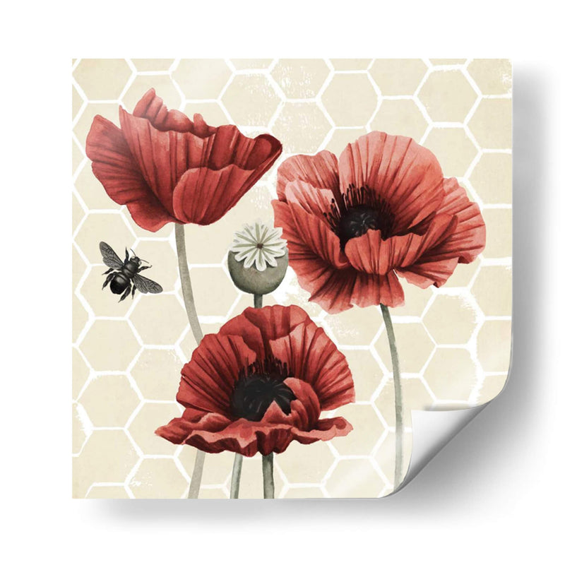 Poppy Buzz Ii - Grace Popp | Cuadro decorativo de Canvas Lab