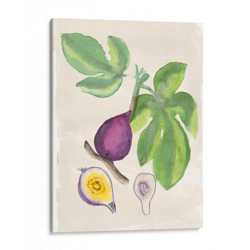 Acuarela Fruta I - Naomi McCavitt | Cuadro decorativo de Canvas Lab