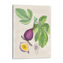 Acuarela Fruta I - Naomi McCavitt | Cuadro decorativo de Canvas Lab