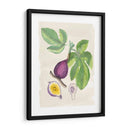 Acuarela Fruta I - Naomi McCavitt | Cuadro decorativo de Canvas Lab