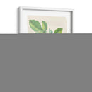 Acuarela Fruta I - Naomi McCavitt | Cuadro decorativo de Canvas Lab