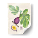 Acuarela Fruta I - Naomi McCavitt | Cuadro decorativo de Canvas Lab