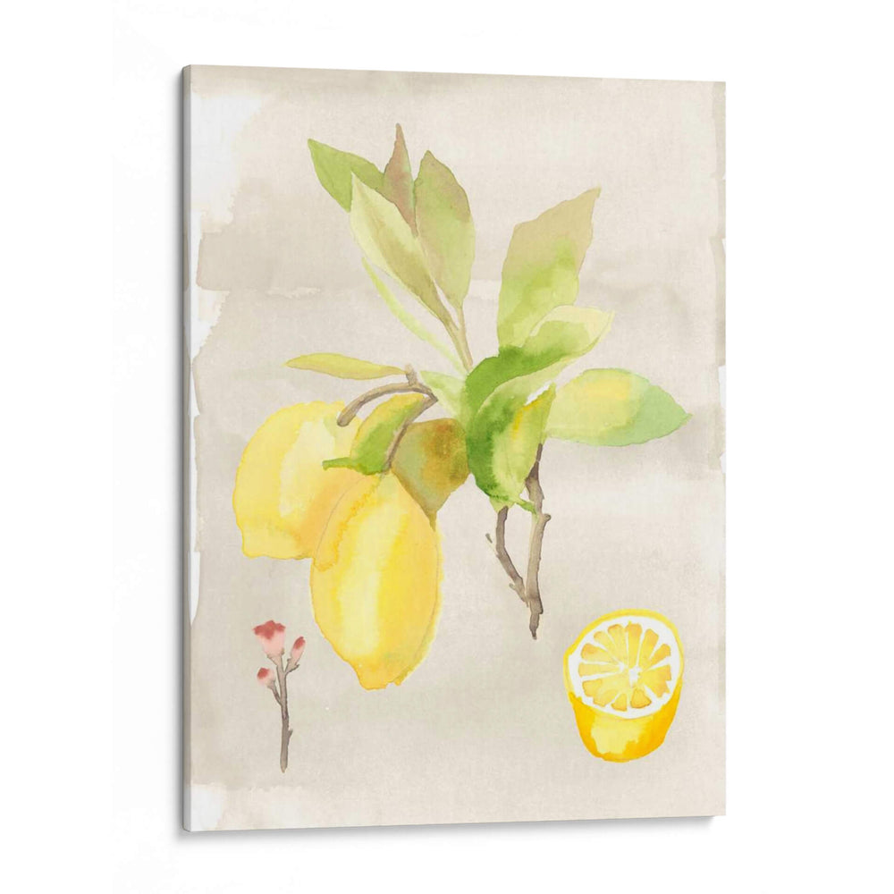 Acuarela Fruta Ii - Naomi McCavitt | Cuadro decorativo de Canvas Lab