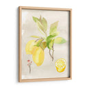 Acuarela Fruta Ii - Naomi McCavitt | Cuadro decorativo de Canvas Lab