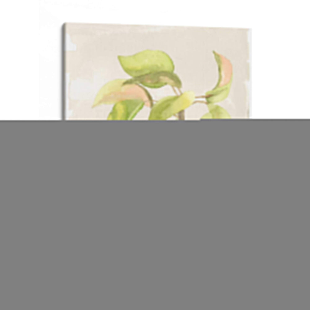 Acuarela Fruta Iii - Naomi McCavitt | Cuadro decorativo de Canvas Lab