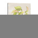 Acuarela Fruta Iii - Naomi McCavitt | Cuadro decorativo de Canvas Lab