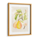 Acuarela Fruta Iii - Naomi McCavitt | Cuadro decorativo de Canvas Lab