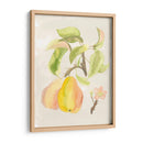 Acuarela Fruta Iii - Naomi McCavitt | Cuadro decorativo de Canvas Lab