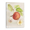 Acuarela Fruta Iv - Naomi McCavitt | Cuadro decorativo de Canvas Lab