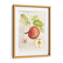 Acuarela Fruta Iv - Naomi McCavitt | Cuadro decorativo de Canvas Lab