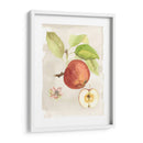 Acuarela Fruta Iv - Naomi McCavitt | Cuadro decorativo de Canvas Lab