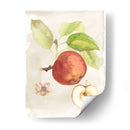 Acuarela Fruta Iv - Naomi McCavitt | Cuadro decorativo de Canvas Lab