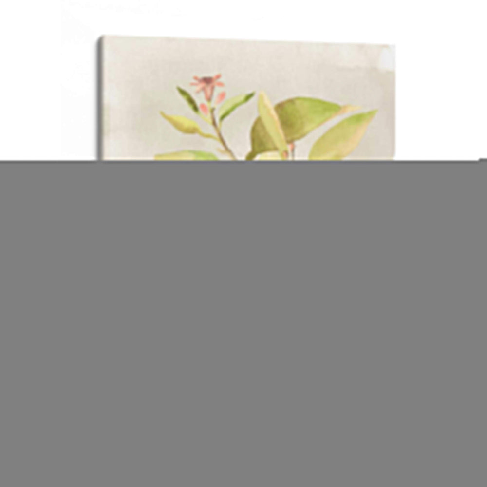Acuarela Fruta V - Naomi McCavitt | Cuadro decorativo de Canvas Lab