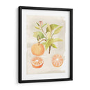 Acuarela Fruta V - Naomi McCavitt | Cuadro decorativo de Canvas Lab
