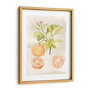 Acuarela Fruta V - Naomi McCavitt | Cuadro decorativo de Canvas Lab