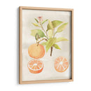 Acuarela Fruta V - Naomi McCavitt | Cuadro decorativo de Canvas Lab