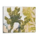 Spray De Hoja Ii - Jennifer Goldberger | Cuadro decorativo de Canvas Lab