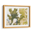 Spray De Hoja Ii - Jennifer Goldberger | Cuadro decorativo de Canvas Lab