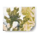 Spray De Hoja Ii - Jennifer Goldberger | Cuadro decorativo de Canvas Lab