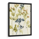 Bufts Blush Ii - Jennifer Goldberger | Cuadro decorativo de Canvas Lab