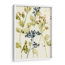 Bufts Blush Ii - Jennifer Goldberger | Cuadro decorativo de Canvas Lab