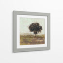 Árbol En El Prado I - Jennifer Goldberger | Cuadro decorativo de Canvas Lab