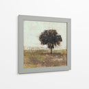 Árbol En El Prado I - Jennifer Goldberger | Cuadro decorativo de Canvas Lab