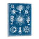 Blueprint Marino I - Vision Studio | Cuadro decorativo de Canvas Lab