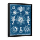 Blueprint Marino I - Vision Studio | Cuadro decorativo de Canvas Lab