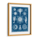 Blueprint Marino I - Vision Studio | Cuadro decorativo de Canvas Lab