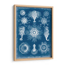Blueprint Marino I - Vision Studio | Cuadro decorativo de Canvas Lab