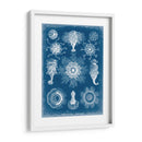 Blueprint Marino I - Vision Studio | Cuadro decorativo de Canvas Lab
