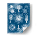 Blueprint Marino I - Vision Studio | Cuadro decorativo de Canvas Lab