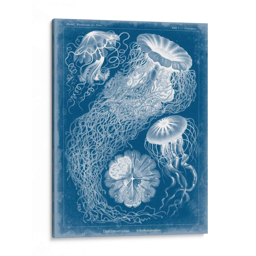 Blueprint Marino Ii - Vision Studio | Cuadro decorativo de Canvas Lab