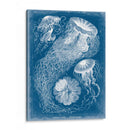 Blueprint Marino Ii - Vision Studio | Cuadro decorativo de Canvas Lab