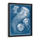 Blueprint Marino Ii - Vision Studio | Cuadro decorativo de Canvas Lab