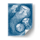 Blueprint Marino Ii - Vision Studio | Cuadro decorativo de Canvas Lab