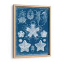 Blueprint Marino Iii - Vision Studio | Cuadro decorativo de Canvas Lab