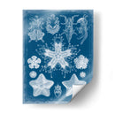 Blueprint Marino Iii - Vision Studio | Cuadro decorativo de Canvas Lab