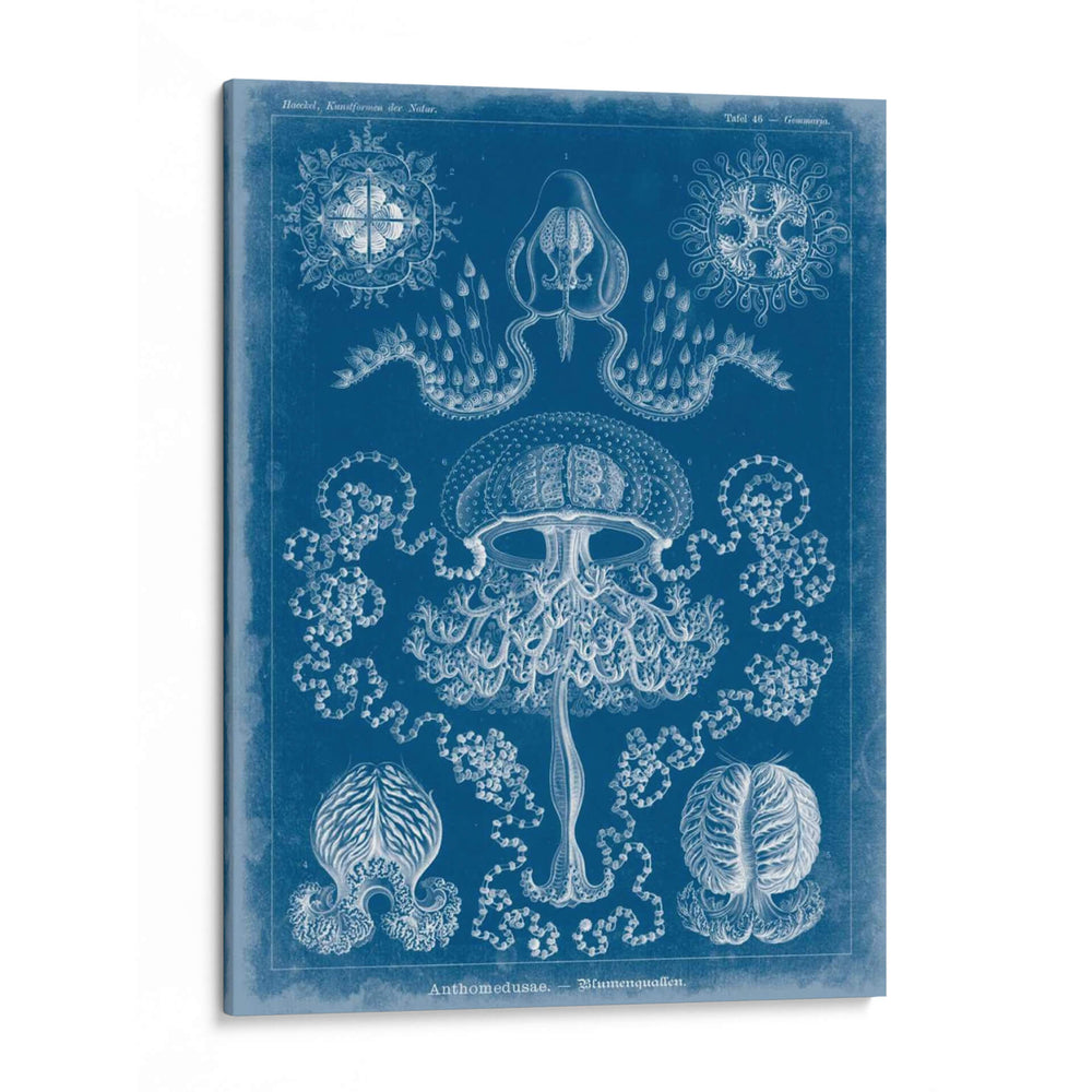 Blueprint Marino Iv - Vision Studio | Cuadro decorativo de Canvas Lab
