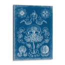 Blueprint Marino Iv - Vision Studio | Cuadro decorativo de Canvas Lab