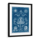 Blueprint Marino Iv - Vision Studio | Cuadro decorativo de Canvas Lab