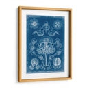 Blueprint Marino Iv - Vision Studio | Cuadro decorativo de Canvas Lab