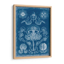 Blueprint Marino Iv - Vision Studio | Cuadro decorativo de Canvas Lab