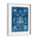 Blueprint Marino Iv - Vision Studio | Cuadro decorativo de Canvas Lab